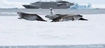 Image related to Le Lyrial