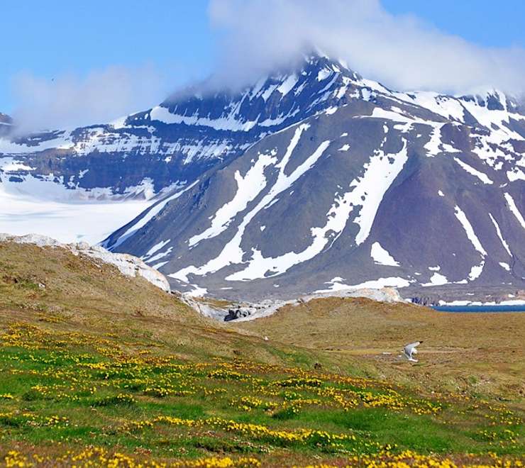 North West Spitsbergen National Park - Overnight onboard