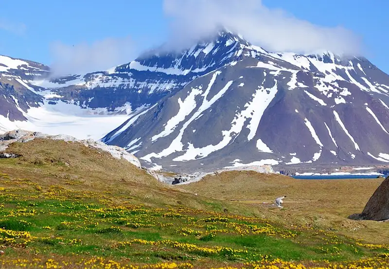 North West Spitsbergen National Park - Overnight onboard