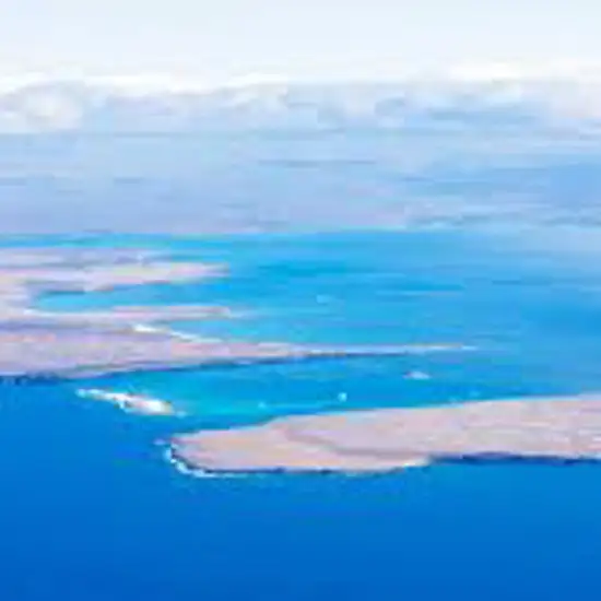 Image related to North Seymour Island