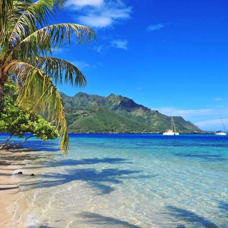Photo overview of Moorea