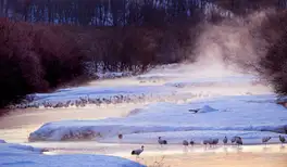 Image related to Kushiro