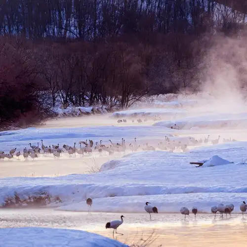 Image related to Kushiro