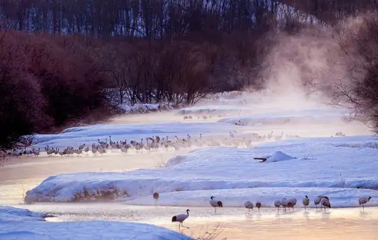 Image related to Kushiro