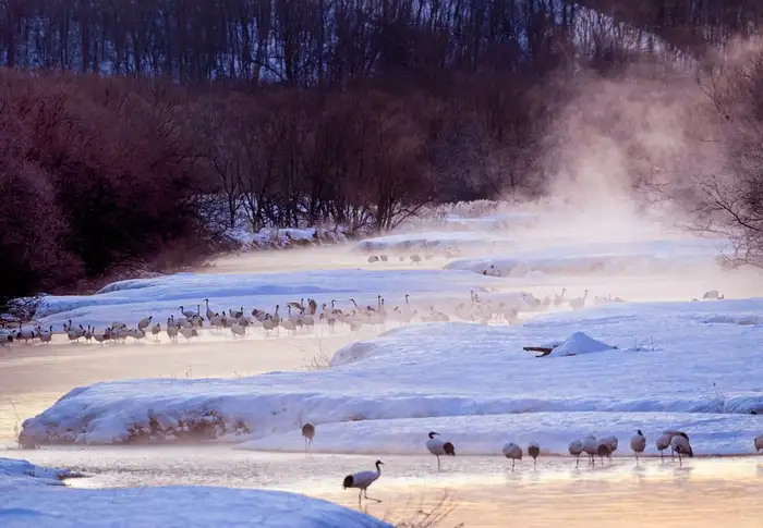 Photo of Day 10: Kushiro