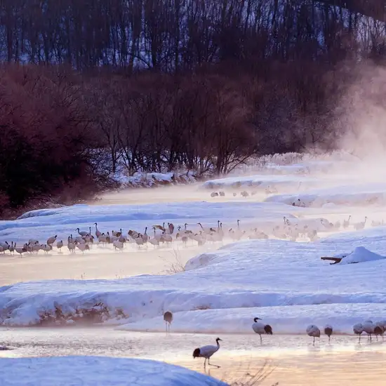 Image related to Kushiro