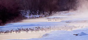 Image related to Kushiro