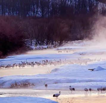 Image related to Kushiro