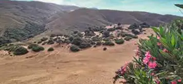 Image related to The Sand Dunes (Ammothines)