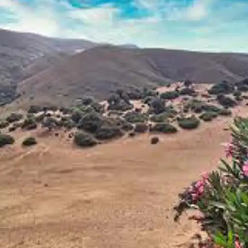 Image related to The Sand Dunes (Ammothines)