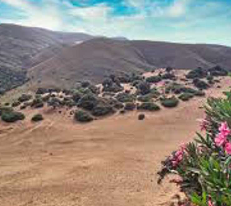 The Sand Dunes (Ammothines)