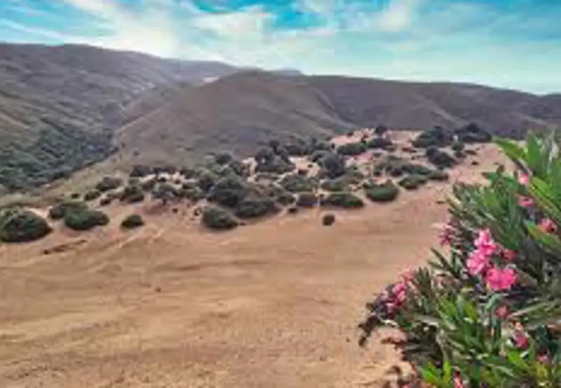 The Sand Dunes (Ammothines)