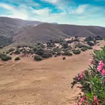 Image related to The Sand Dunes (Ammothines)