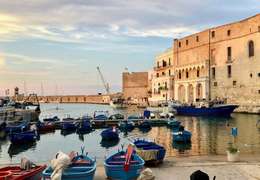 IgluCruise.Application.ViewModels.Shared.WebImageViewModel?.Description