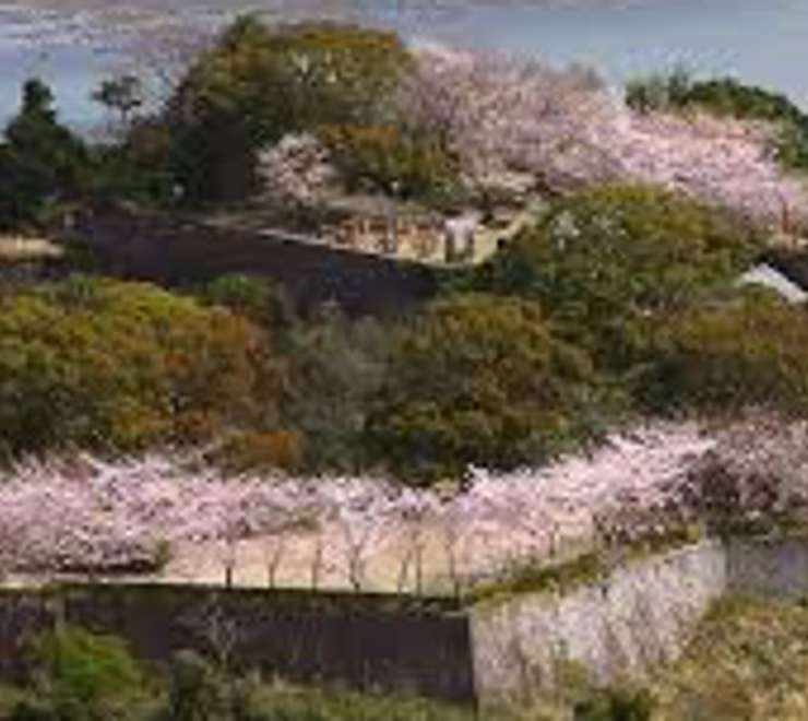 Shingu Castle Ruins