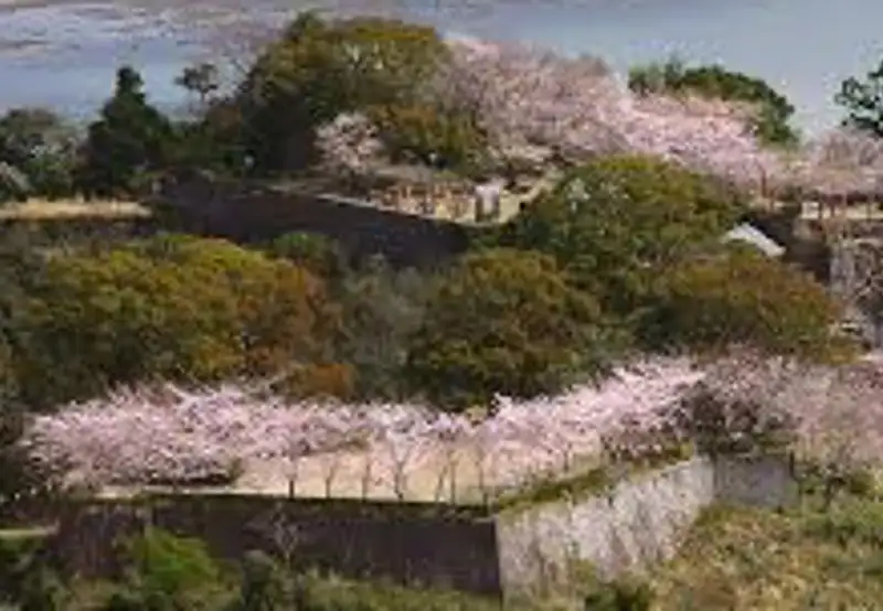 Shingu Castle Ruins