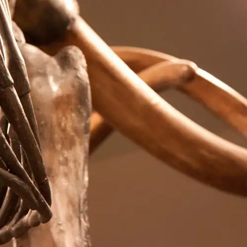 Image related to The La Brea Tar Pits and Museum