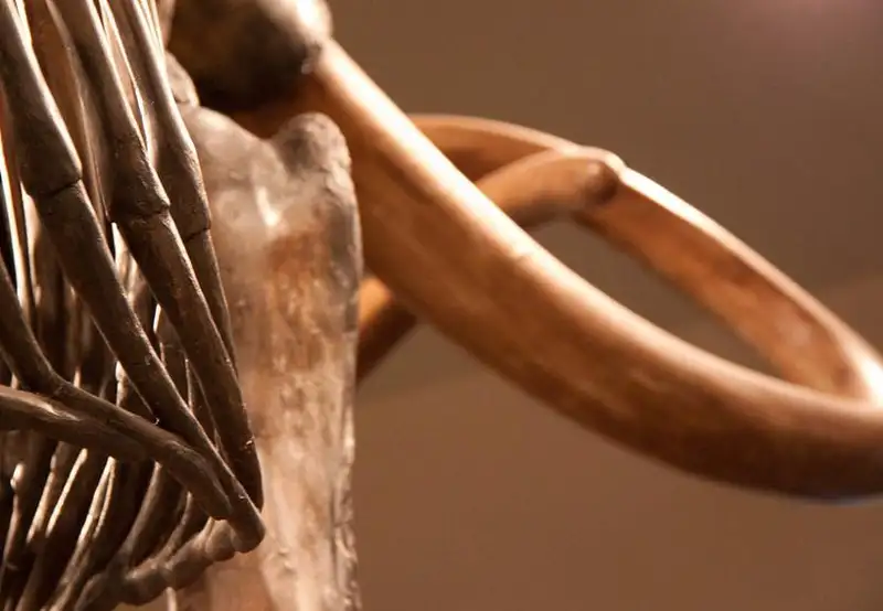 The La Brea Tar Pits and Museum