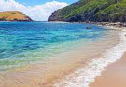 IgluCruise.Application.ViewModels.Shared.WebImageViewModel?.Description