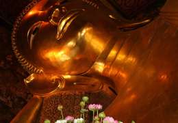 IgluCruise.Application.ViewModels.Shared.WebImageViewModel?.Description