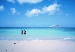 IgluCruise.Application.ViewModels.Shared.WebImageViewModel?.Description