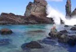 IgluCruise.Application.ViewModels.Shared.WebImageViewModel?.Description