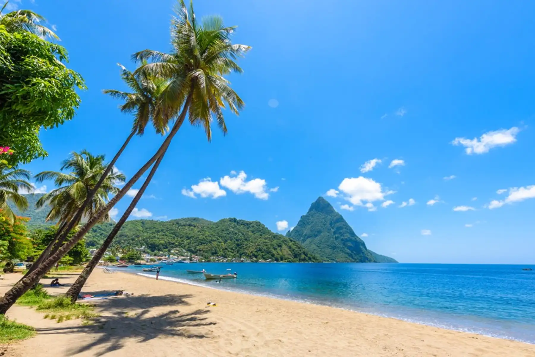 Image related to World Cruise Deals