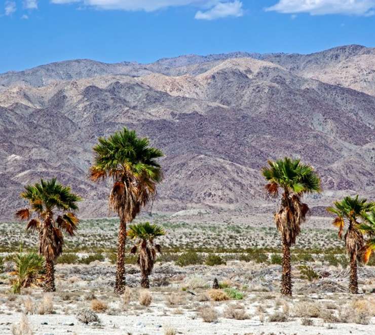 Indio, California