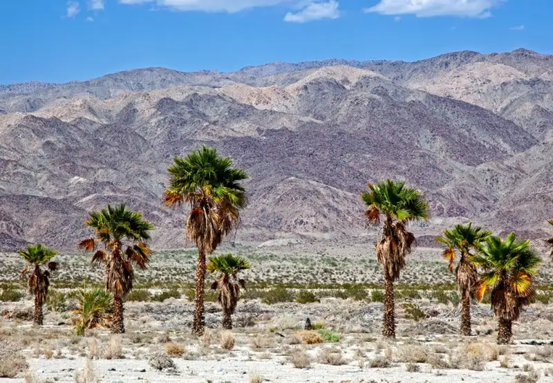 Indio, California