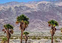 IgluCruise.Application.ViewModels.Shared.WebImageViewModel?.Description