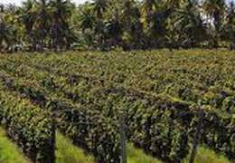 IgluCruise.Application.ViewModels.Shared.WebImageViewModel?.Description