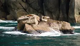 Image related to Valdez