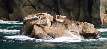 Image related to Valdez