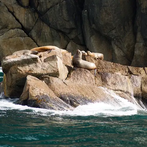 Image related to Valdez