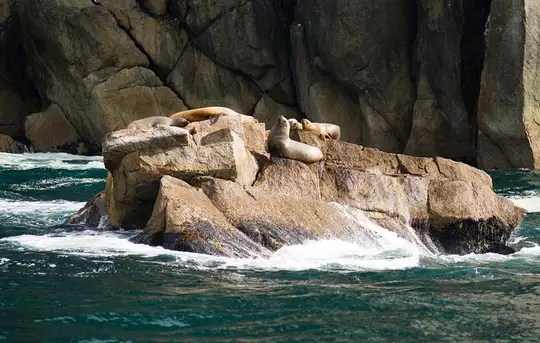 Image related to Valdez