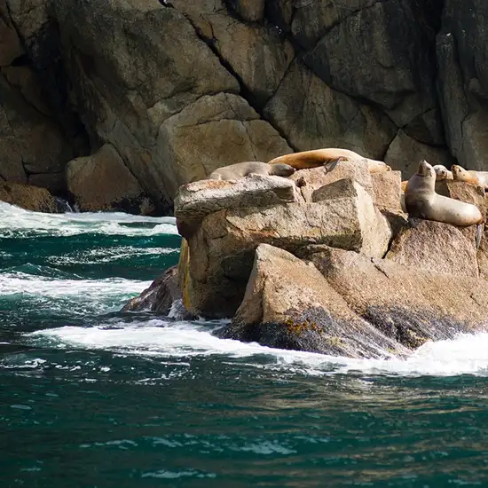 Image related to Valdez