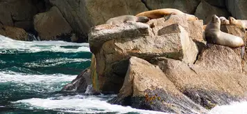 Image related to Valdez