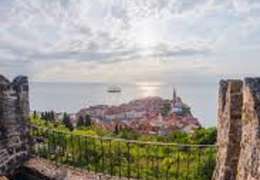 IgluCruise.Application.ViewModels.Shared.WebImageViewModel?.Description