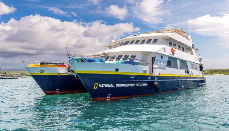 National Geographic Delfina