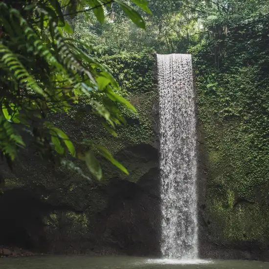 Image related to Cascade de Nosy Be 