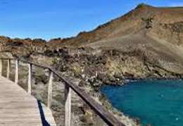 IgluCruise.Application.ViewModels.Shared.WebImageViewModel?.Description