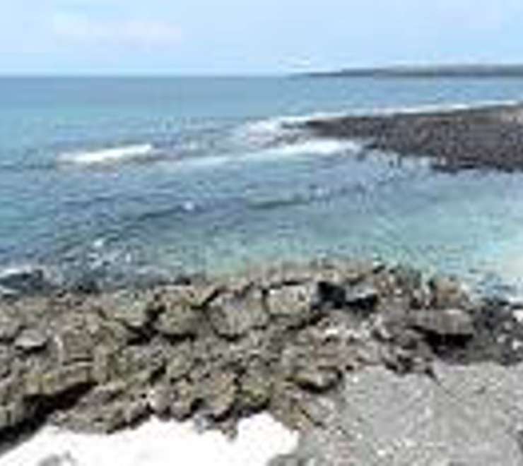 Hiking the Darwin Trail