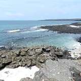 Image related to Hiking the Darwin Trail