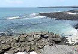 IgluCruise.Application.ViewModels.Shared.WebImageViewModel?.Description