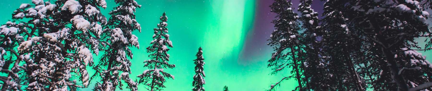 Northern Lights cruises