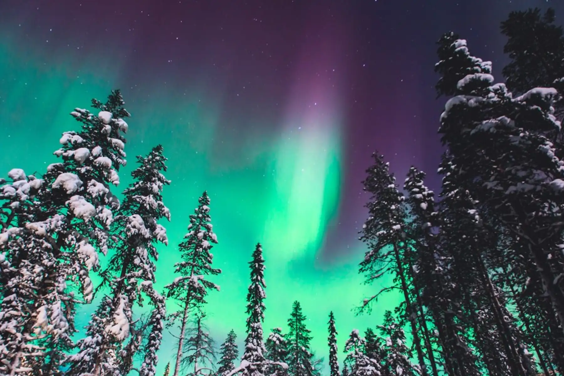 Image related to Northern Lights Cruises