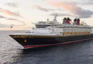 Disney Magic
