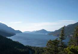 IgluCruise.Application.ViewModels.Shared.WebImageViewModel?.Description