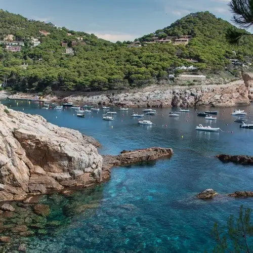 Image related to Boat Trips