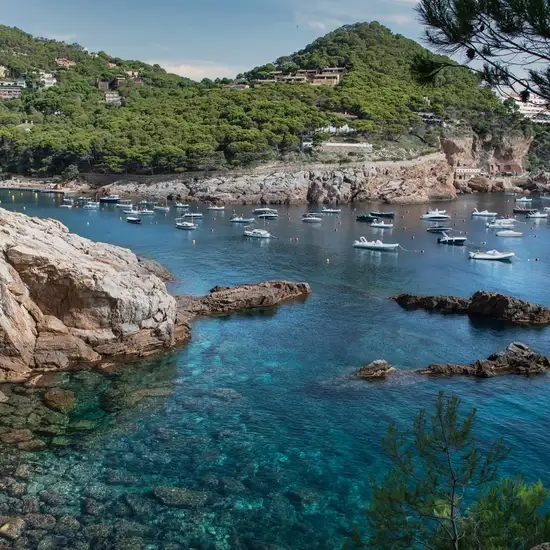 Image related to Boat Trips